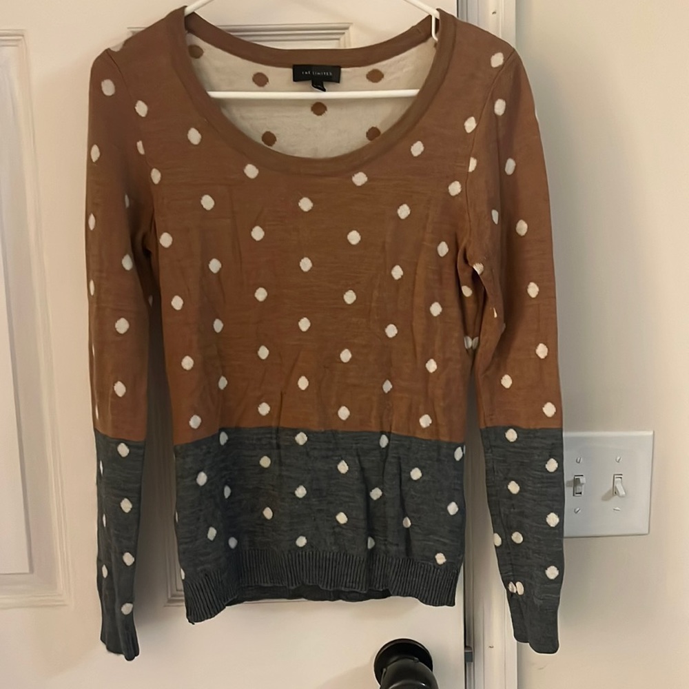 The Limited sweater
